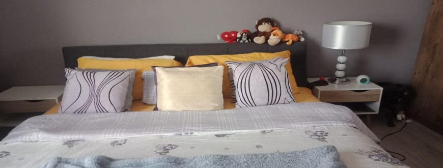 Apartment Cleaning and Housekeeping