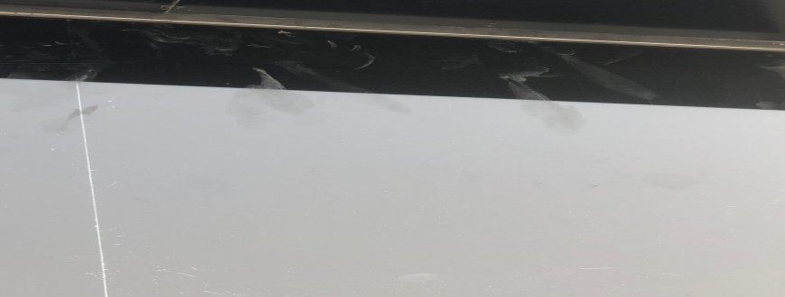 Window/Glass Door Cleaning